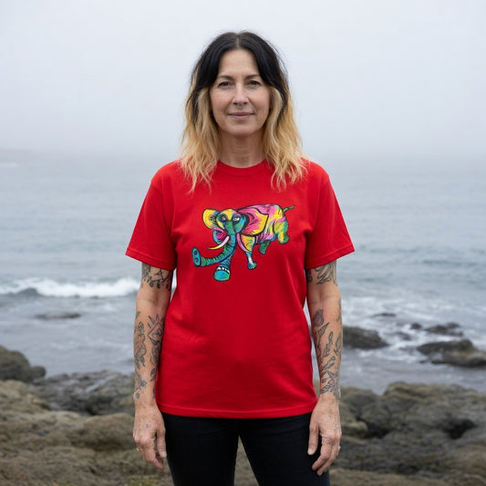 9BARN Elephante tee in red, worn.