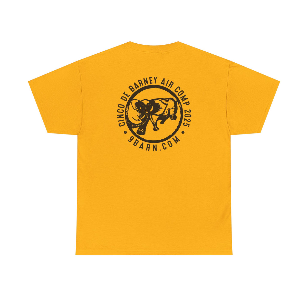 Cinco De Barney 2025 AirShow TShirt