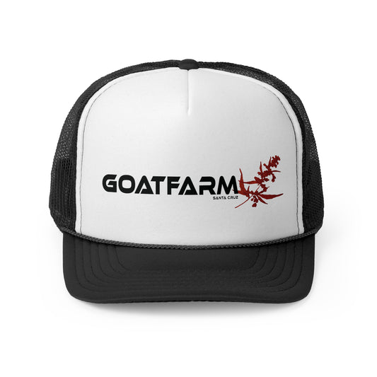 Santa Cruz Goatfarm  Foamy