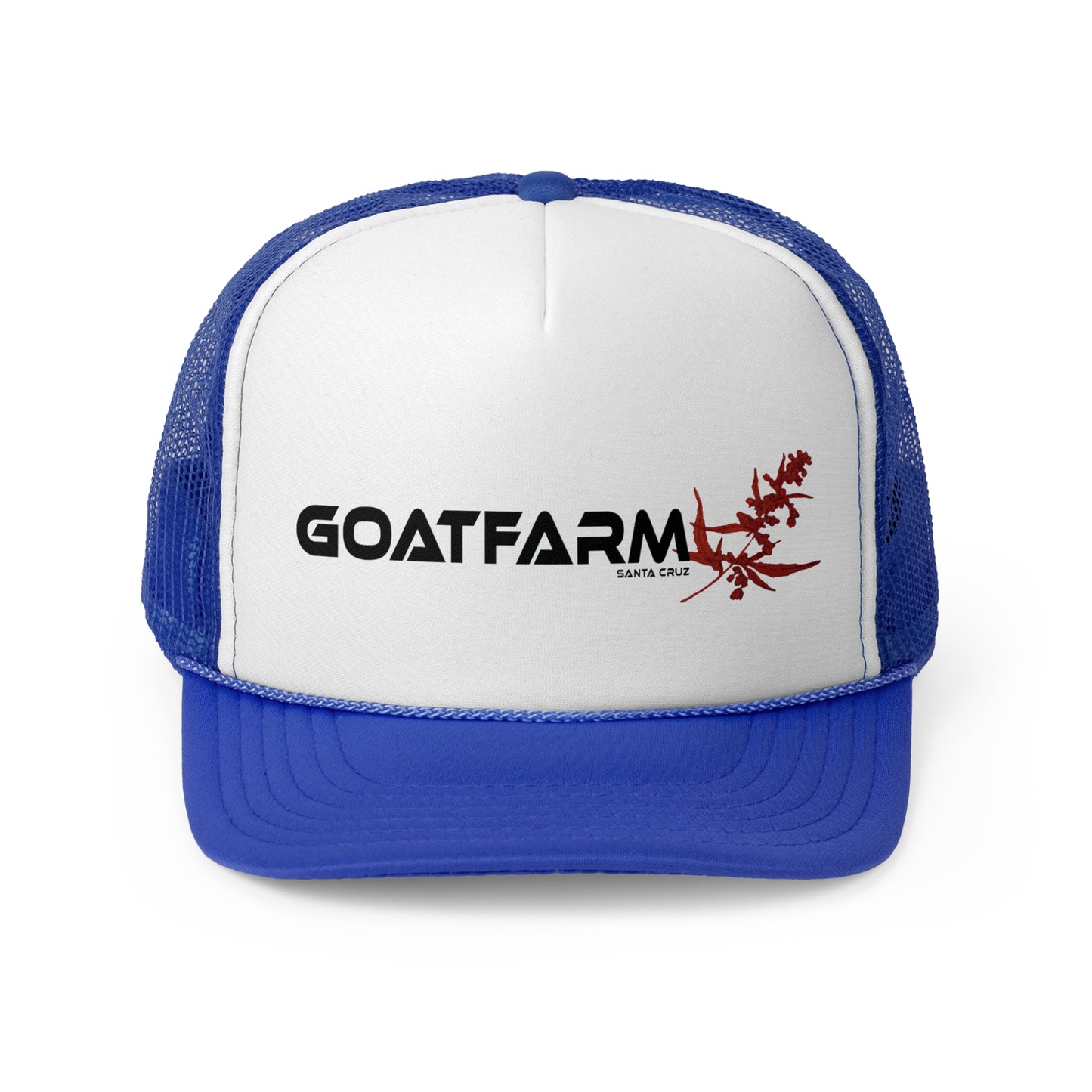 Santa Cruz Goatfarm  Foamy