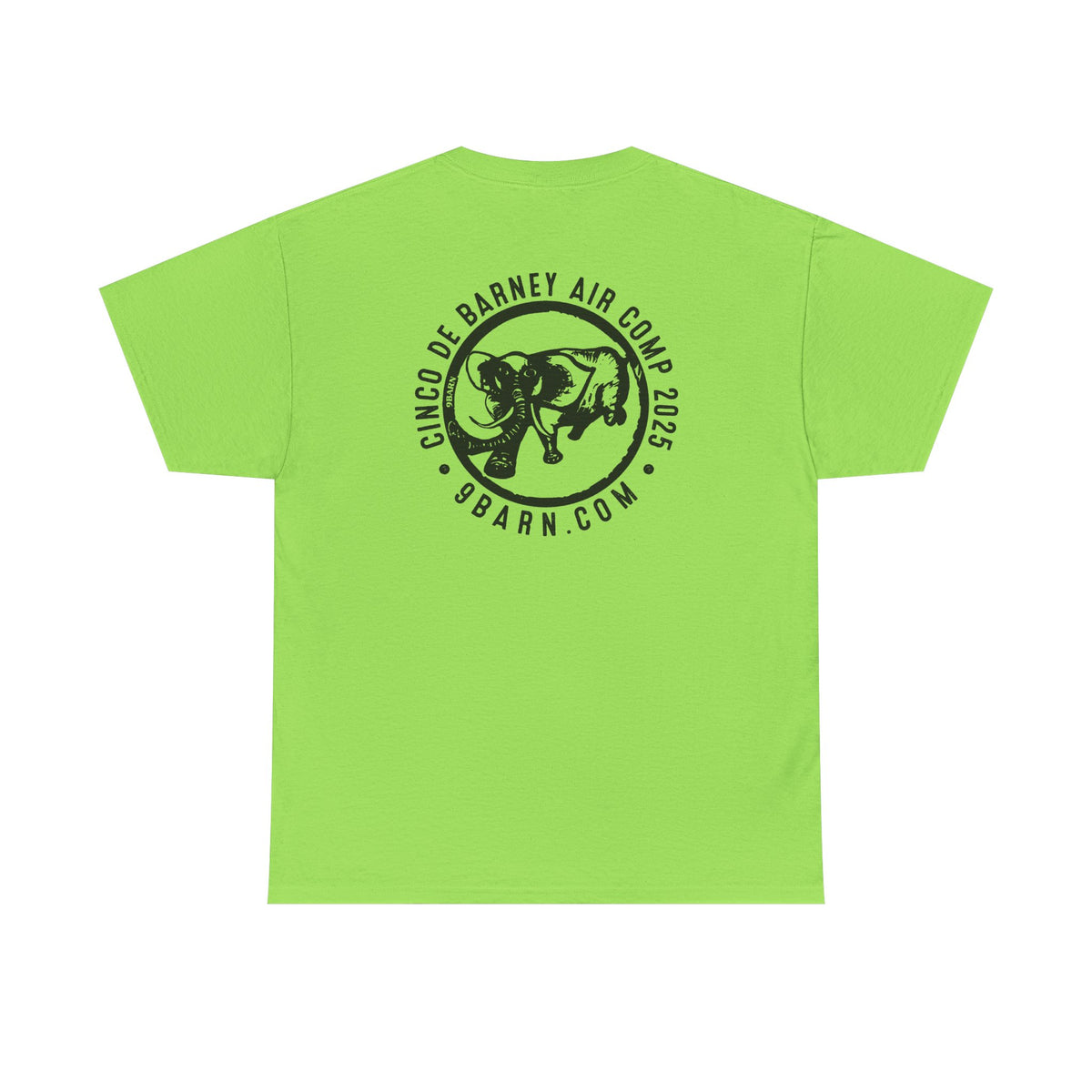 Cinco De Barney 2025 AirShow TShirt