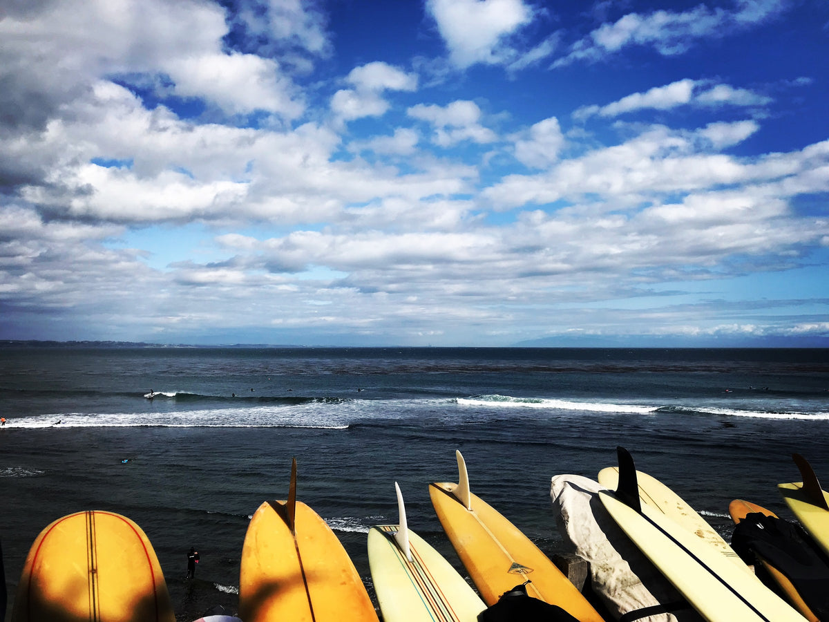 Surfboards lined along the cliff above the lineup, Santa Cruz.