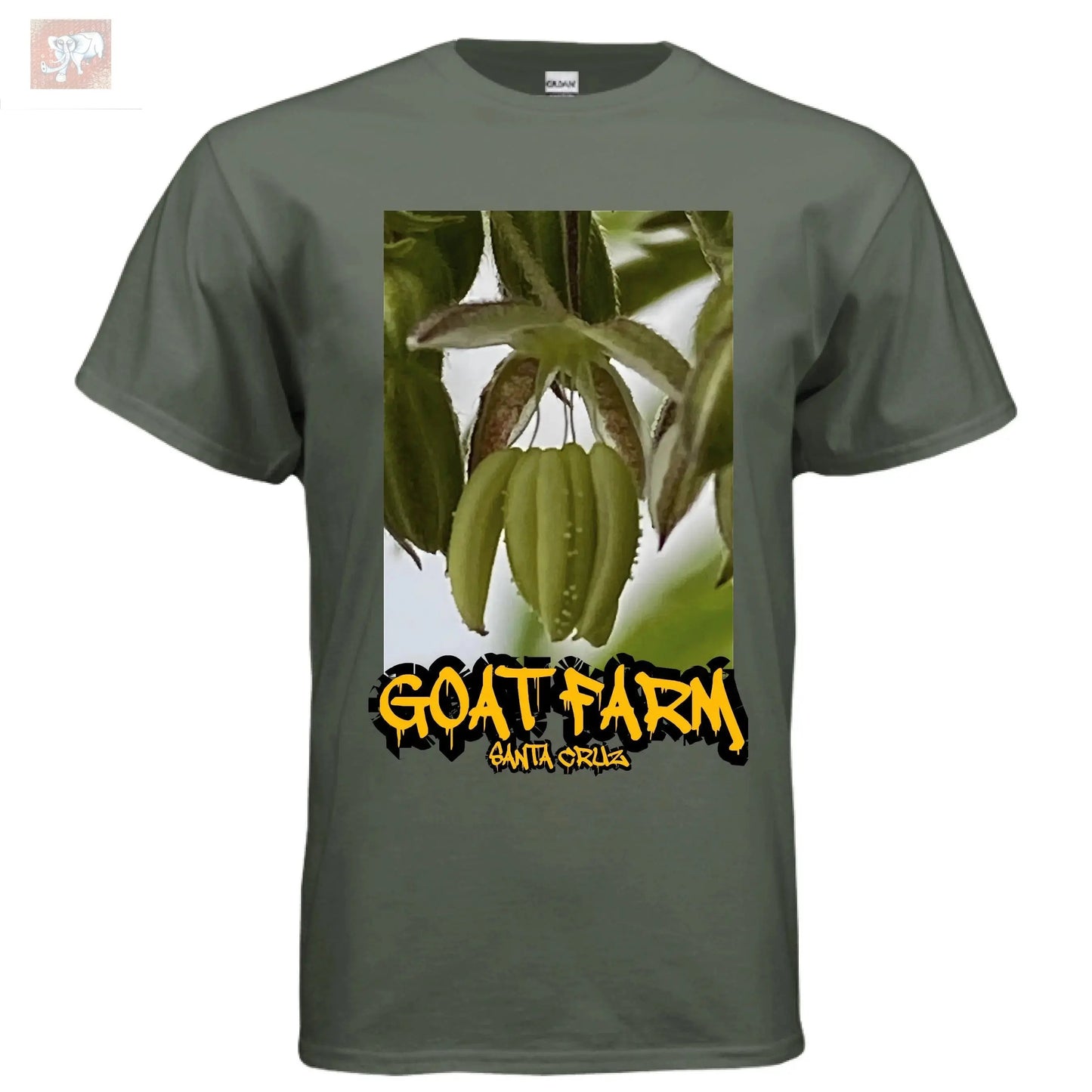 MILITARY GREEN - FRONT