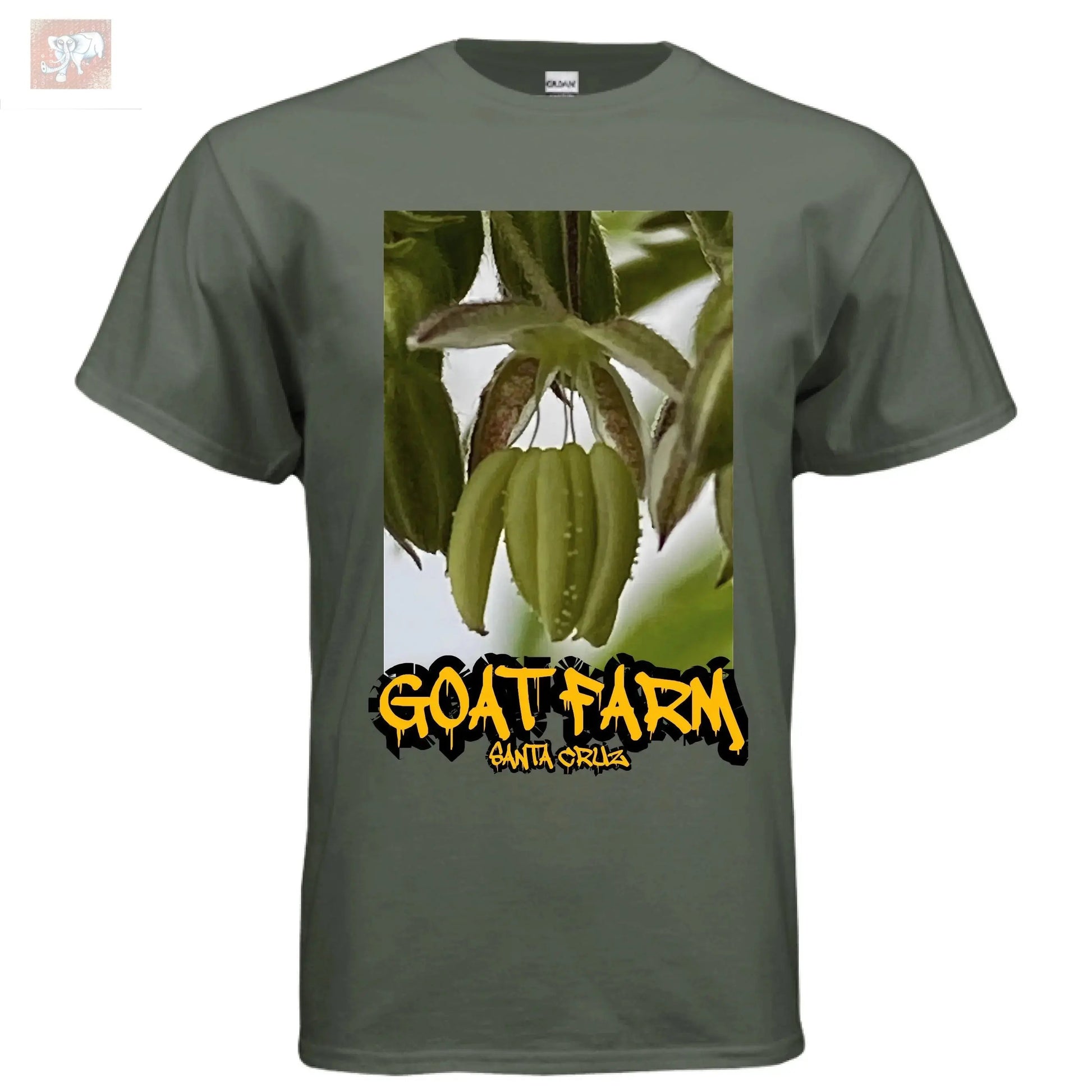 MILITARY GREEN - FRONT